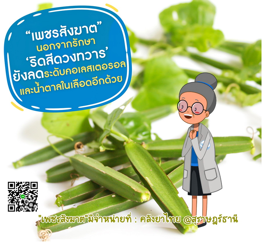 ยาเม็ดเพชรสังฆาต