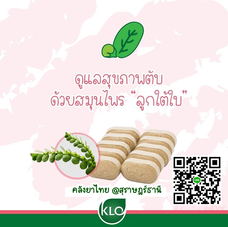 ยาเม็ดลูกใต้ใบ จัดการตับอักเสบ