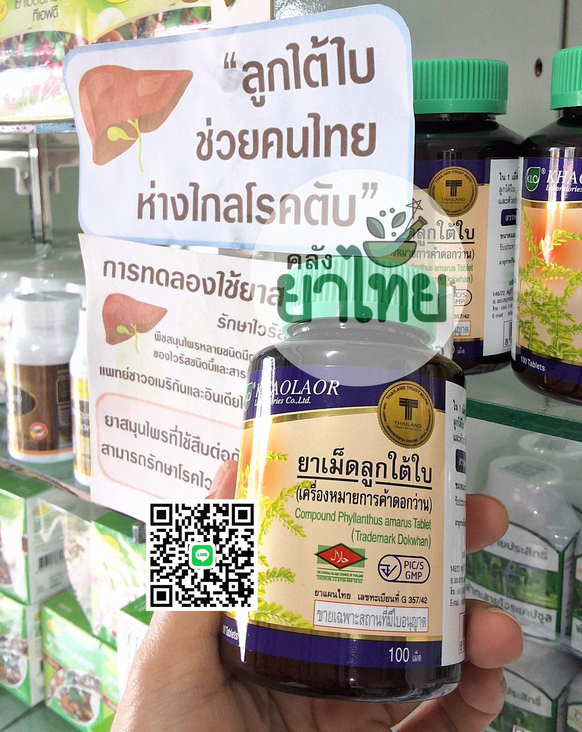 ยาเม็ดลูกใต้ใบ จัดการตับอักเสบ
