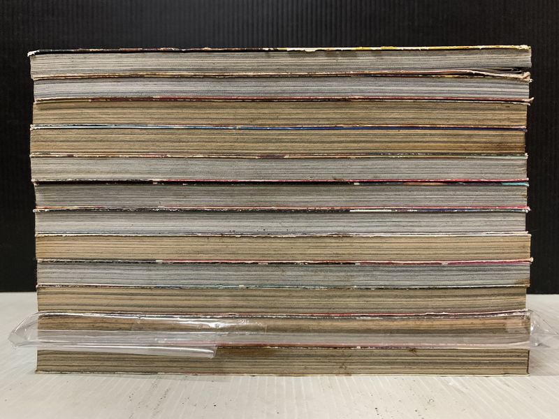 ดาบคลั่งฟ้าสังหาร ดาบฟ้าล่าสังหาร 1-12 จบ