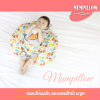 หมอนรองให้นมลูก 2in1 ลายนกฮูก รุ่นใหม่ เพิ่มหมอนรองศีรษะเด็กทารก