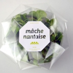 ไอเดียสำหรับการพิมพ์ สติ๊กเกอร์ฉลากสินค้า // สไตล์การออกแบบ ดีไซน์เรียบ แบบมีสไตล์ ฉลากใช้สำหรับ แปะกับ สินค้าทั่วไป สินค้าผัก ดูสะอาด