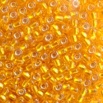 g017ลูกปัดญี่ปุ่นขนาด12/0JP36