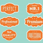 ฉลากป้ายติดพัสดุไปรษณีย์ สไตล์การออกแบบดีไซน์แบบใช้สีสันที่สวยงามสดุดตา ฉลากไว้ใช้แปะกับกล่องพัสดุสินค้า,แบบฟอร์มชื่อที่อยู่ ผู้ส่ง-ผู้รับ // ตัวอย่างดีไซน์ สติ๊กเกอร์ฉลาก Chill Shop Package