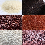 ความแตกต่างและสารอาหารที่สำคัญของข้าวแต่ละชนิด