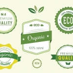 ฉลากป้ายประชาสัมพันธ์ สไตล์การออกแบบดีไซน์แบบเรียบๆแต่มีสไตล์ ฉลากไว้ใช้แปะกับสินค้าเกี่ยวกับธุรกิจผักออแกนิค // ตัวอย่างดีไซน์ สติ๊กเกอร์ฉลาก Chill Shop Package