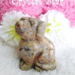 Jasper แกะเป็นรูปสุนัข