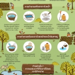 วิธีการทำสารสกัดสะเดาใช้เองแบบง่ายๆ