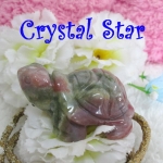 เต่าอาเกต