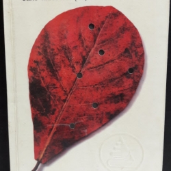 สมุดปกดำกับใบไม้สีแดง