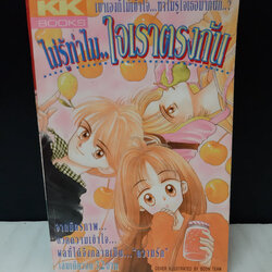 ไม่รู้ทำไมใจเราตรงกัน เล่มเดียวจบ