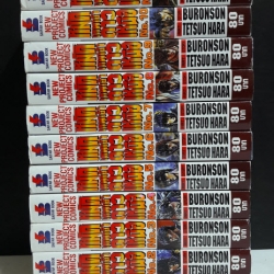 ฤทธิ์หมัดดาวเหนือ 1-12 จบ