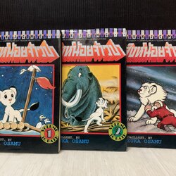 สิงห์น้อยจ้าวป่า 1-3 จบ / เท็ตสึกะ โอซามุ