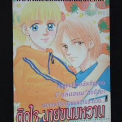 ติดใจนายขนมหวาน เล่มเดียวจบ