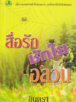 นิยาย สื่อรักชักใยอลวน ผู้เขียน อินตรา
