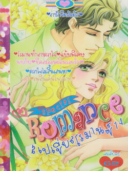 การ์ตูนหมึกจีน สเปเชี่ยลโรมานซ์ เล่ม 14 เล่มเดียวจบ