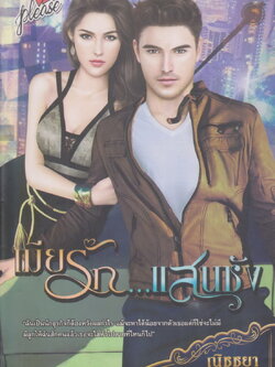 นิยาย เมียรัก...แสนชัง ผู้เขียน ณิชชยา