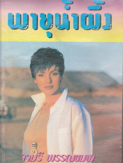 นิยาย พายุน้ำผึ้ง ผู้เขียน จามรี พรรณชมพู