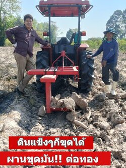 ผานขุดมัน