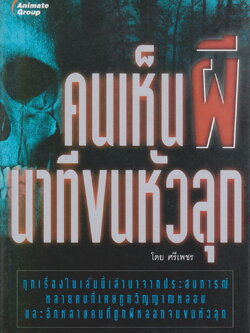 เรื่องสั้น คนเห็นผี นาทีขนหัวลุก ผู้เขียน ศรีเพชร