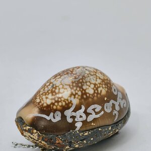 หลวงปู่ใข วัดพัฒนาราม เบี้ยครูแก้จน พยัคฆ์เศรษฐีมีแล้วรวย KA1326