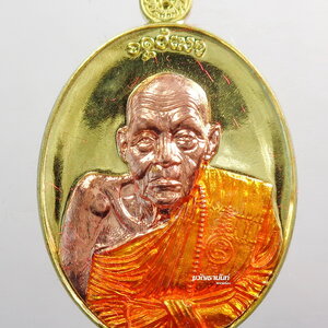 เหรียญรูปไข่ ชินบัญชร หลัง พญาครุฑ หลวงปู่แสง วัดโพธิ์ชัย