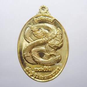 ครูบาแก้ว วัดป่าดวงแก้วโพธิญาณ พญานาคปลดหนี้ (KP1541)