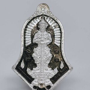 หลวงพ่อพัฒน์ วัดห้วยด้วน ท้าวเวสสุวรรณ มั่งคั่ง ร่ำรวย หลังเสือ เงิน โค้ด ง (AC1190)