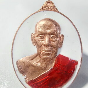 หลวงพ่อพัฒน์ วัดห้วยด้วน 2พลัง ไอ้ไข่ เหรียญให้รวย (AC845)