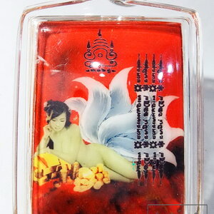 หลวงปู่ศรีเทพอุดร วัดพืชนิมิต จังหวัดปทุมธานี 9หาง (AB6282)