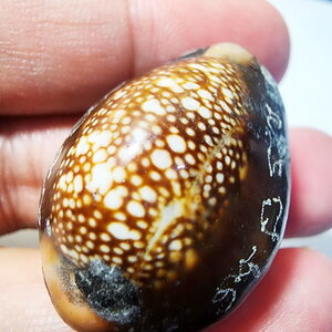 หลวงปู่บัว เบี้ยแก้ หลวงปู่ทิม 9 มหาฤกษ์ 9 มหาชัย 200 ปี ซองเดิม (AB5825)