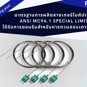 มาตรฐานการผลิตสายเทอร์โมคัปเปิ้ล ANSI MC96.1 Special Limit ได้รับการยอมรับในการใช้งานการทวนสอบเตาอบชุบโลหะ
