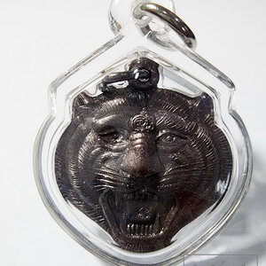 พระอาจารย์ตี๋เล็ก เขาสุนะโม เหรียญหัวเสือ รุ่น กันภัย พร้อมเลี่ยม(AC113)