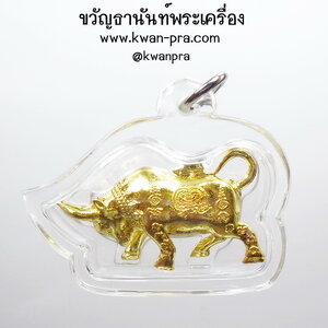 หลวงพ่อพัฒน์ วัดห้วยด้วน นครสวรรค์ วัวธนู พร้อมเลี่ยม (AB4849)