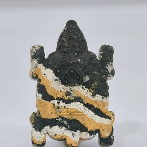 พญาเต่ามังกร ลายเสือ เจ้าสัว มหาเศรษฐี วัดห้วยผักชี นครปฐม ปี 62 (KA1244)