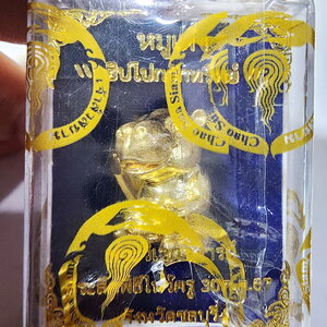 หมูเด้ง ฮิปโปกวักทรัพย์ พระวิเวกาจารย์ สำนักอนันต์บูรพาราม ไม่แกะซีล (AC525)