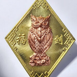 พระปลัดอนวัช อภิลาโส วัดบ้านดงน้อย นกถึดทือ เรียกทรัพย์ ยกหน้ากาก เลข 11 (KA403)