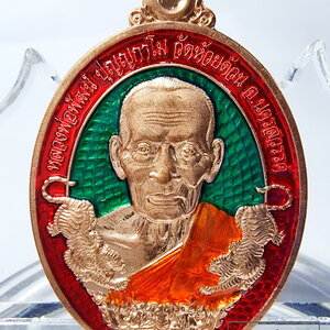 หลวงพ่อพัฒน์ วัดห้วยด้วน นครสวรรค์ เหรียญทรัพย์พยัคฆ์ (AB6179)