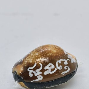 หลวงปู่ใข วัดพัฒนาราม เบี้ยครูแก้จน พยัคฆ์เศรษฐี มีแล้วรวย KA1378