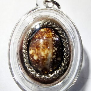 หลวงปู่บุญมา สำนักสงฆ์เขาแก้วทอง เบี้ยแก้เสือ เงินไหลมา เลข4 (AC431)