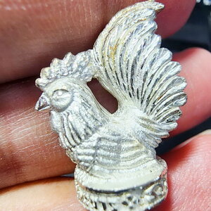 ครูบากฤษณะ ต้นตำรับเทพภมรจำแลง ณ อาศรมสถานสวนพฤษ์ศาสตร์ ไก่ เจ้าสัว มหาเศรษฐี (AB5254)