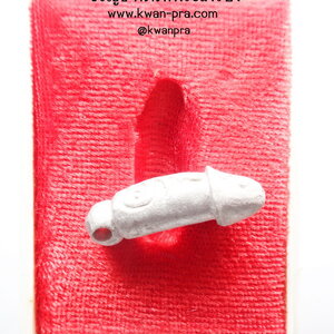 หลวงพ่อพูล วัดไผ่ล้อม รุ่น รวยทรัพย์ เนื้อปีกเครื่องบิน ปี46 (AB4764)