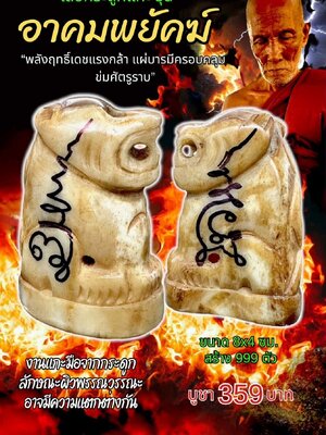 หลวงปู่แก้ว วัดแก่งดินสอ เสือกระดูกแกะ รุ่น อาคมพยัคฆ์