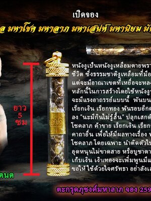ตะกรุดภุชงค์มหาลาภ (หนังงูเหลือมตายพราย) ครูบาแบ่ง วัดบ้านโตนด นครราชสีมา