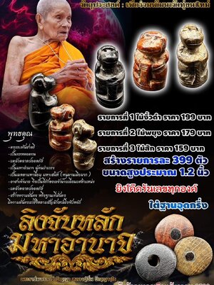 ลิงจับหลัก มหาอำนาจ หลวงปู่อิ่ม ปัญญาวุโธ วัดทุ่งนาใหม่ นครศรีธรรมราช