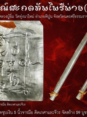 วัตถุมงคล นารายณ์สะกดทัพไพรีพ่าย (คู่ชีวิต) หลวงปู่อิ่ม วัดทุ่งนาใหม่ นครศรีธรรมราช