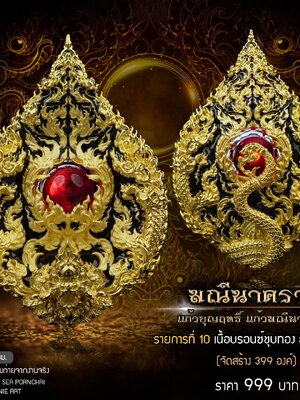 มณีนาคราช แก้วบุญฤทธิ์ แก้วมณีนาคราช พระปลัดเรืองเดช เตชรมฺโม วัดห้วยถั่วใต้