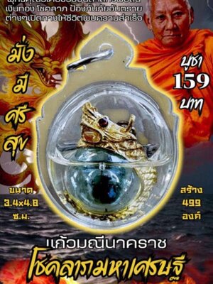 หลวงพ่อเมียน วัดบ้านจะเนียงวนาราม แก้วมณีนาคราช โชคลาภมหาเศรษฐี