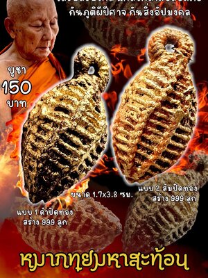 หลวงพ่อเมียน วัดบ้านจะเนียงวนาราม จ.บุรีรัมย์ หมากทุย มหาสะท้อน