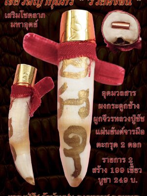 เขี้ยวพญากุมภีร์ รวยคงทน มหาเวทย์ มหาอำนาจ โชคลาภ หลวงปู่ชัช วัดบ้านปูน